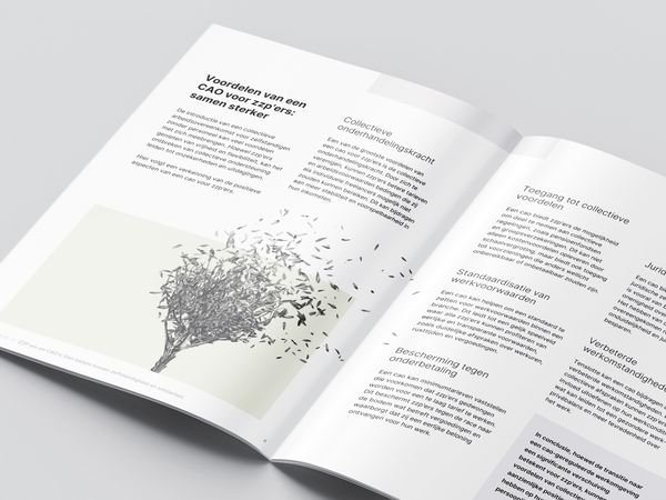 whitepaper zzp cao